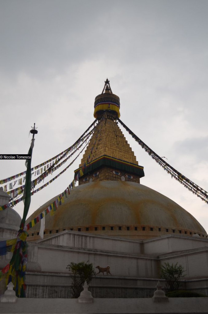stupa Bodhanath