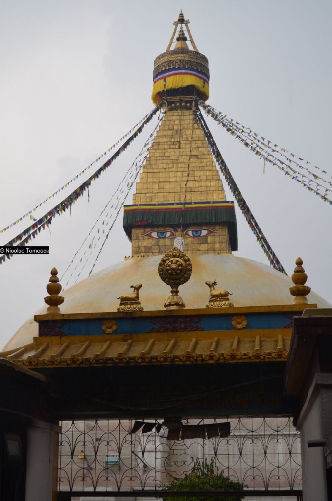 stupa Bodhanath