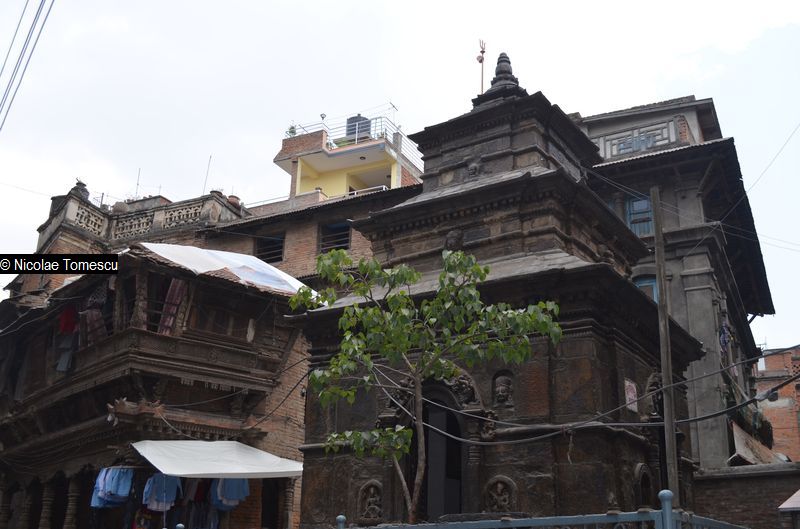 _forta trecutului printre ruinele prezentului