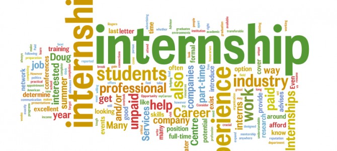 Program de internship la Guvern