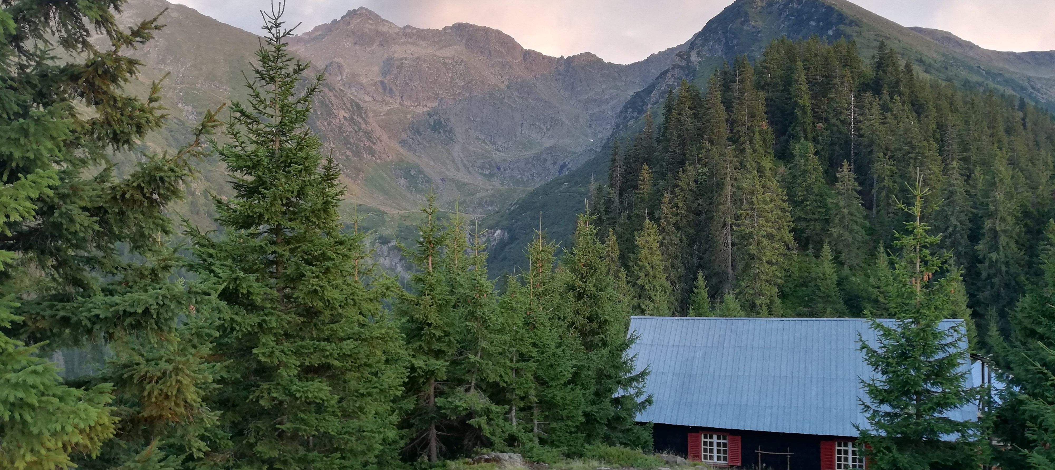 Tezaur din argint descoperit în Pădurea Darabani din județul Botoșani