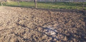 Seceta prelungită provoacă un deficit de apă potabilă în sute de localităţi şi un nivel al Dunării foarte scăzut