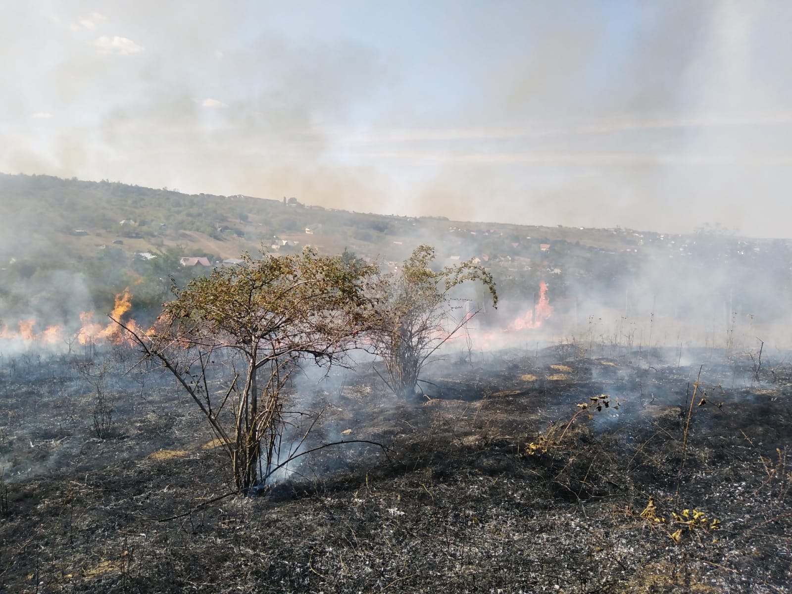 Botoşani: Aproximativ şase hectare de vegetaţie uscată au ars în patru incendii