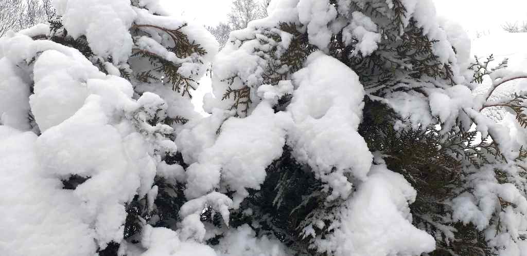 INFORMARE METEOROLOGICĂ de ninsori, precipitaţii mixte și polei în Moldova