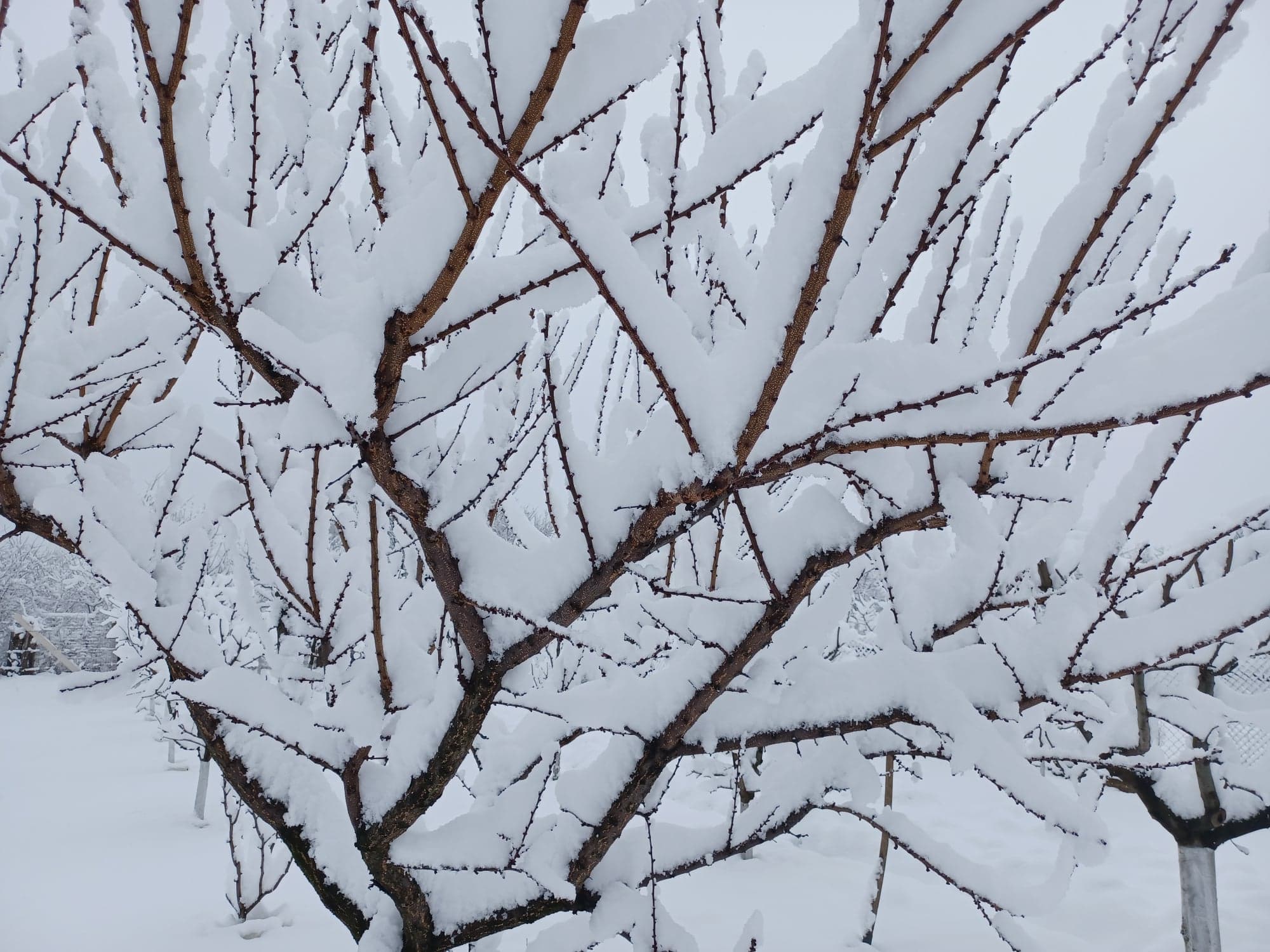 Mercurul termometrelor a coborât până la minus 22 de grade Celsius la Joseni, cea mai scăzută temperatură înregistrată la nivel naţional