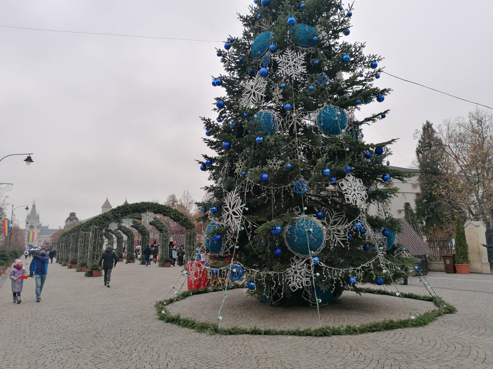 Mii de lumini și zeci de brazi: Iașul deschide sezonul de Sărbători