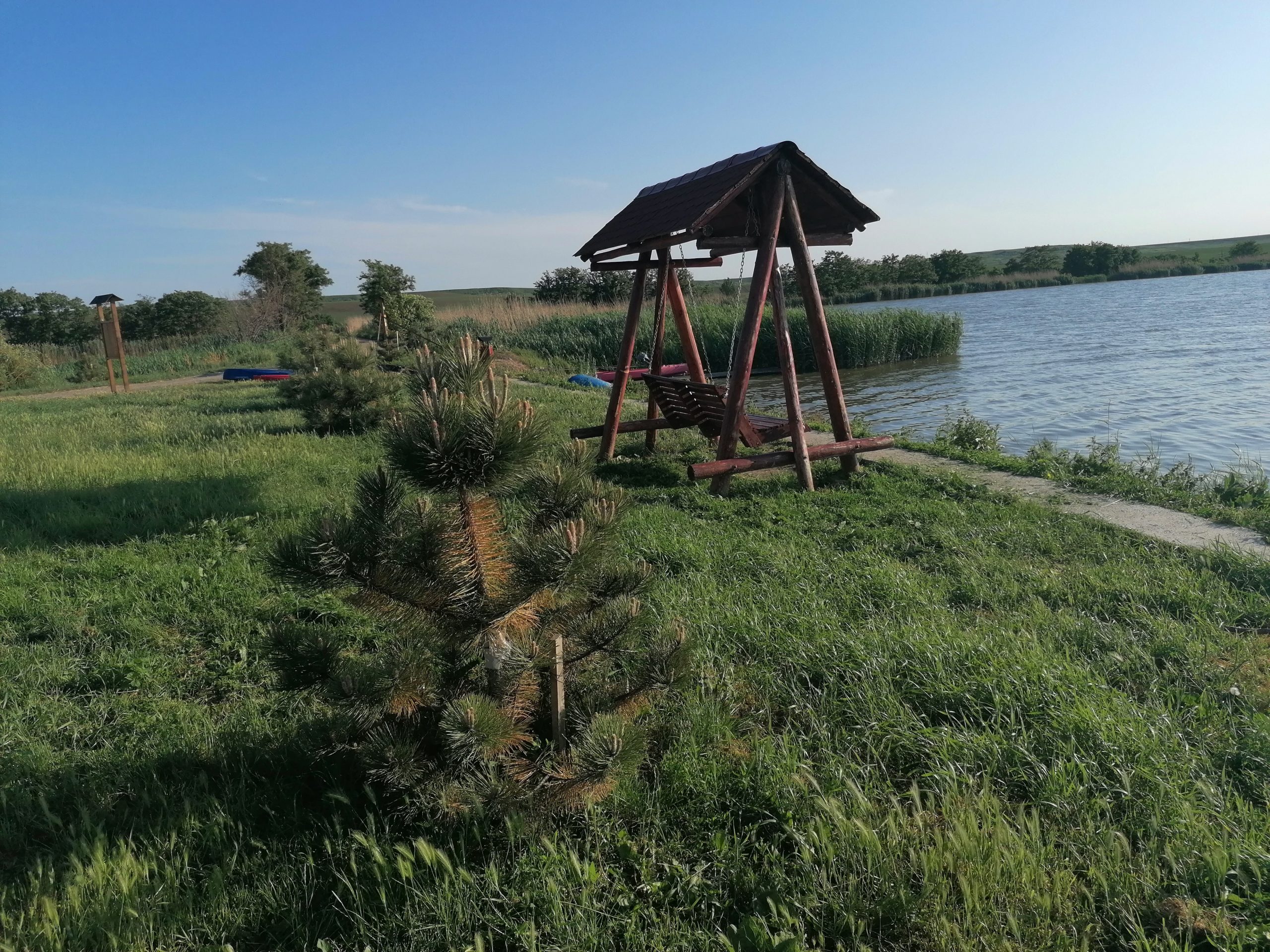 Jandarmii ieșeni, mobilizați de 1 Mai: reguli pentru ieșirile la iarbă verde. Bună Dimineața cu Adina Șuhan