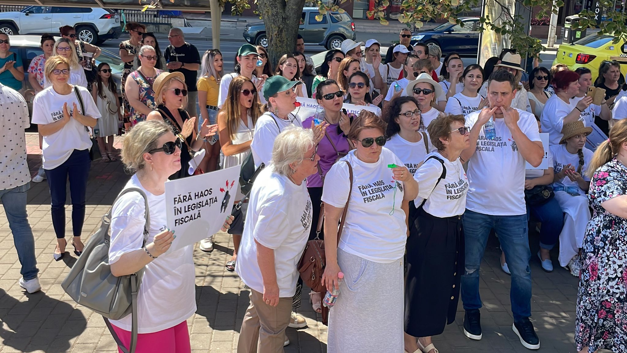 (AUDIO/VIDEO) Contabilii şi economiştii protestează faţă de măsurile adoptate de Guvern fără consultare publică