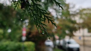 METEO: Cod galben de instabilitate atmosferică temporar accentuată și intensificări ale vântului