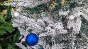 Neamţ: Andra Gogan, ADDA şi IDK vor deschide Târgul ‘Piatra lui Crăciun’