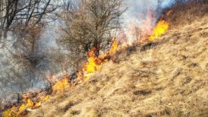 (AUDIO) Iași: Nou proiect transfrontalier România- Republica Moldova pentru stingerea incendiilor de pădure