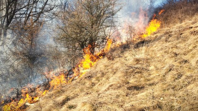 Iași: nou proiect tranfrontalier România- Republica Moldova pentru stingerea incendiilor de pădure