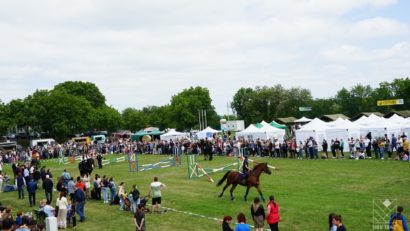 (AUDIO/FOTO) Animal Fest 2025: Weekend dedicat iubitorilor de animale pe Arena USV Iași