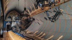 (AUDIO/FOTO) Ziua Internațională a Muzeelor este marcată astăzi la Iași, la Palatul Culturii, cu o expoziție intitulată „Iconia”