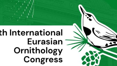 Iașul devine capitala ornitologiei eurasiatice: peste 50 de specialiști internaționali vin la IEOC 2025