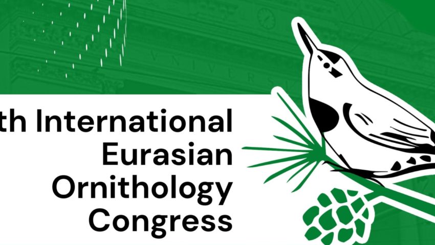 Iașul devine capitala ornitologiei eurasiatice: peste 50 de specialiști internaționali vin la IEOC 2025 Iașul devine capitala ornitologiei eurasiatice: peste 50 de specialiști internaționali vin la IEOC 2025