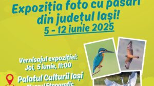 Expoziția de fotografii „Observă păsările Iașului”