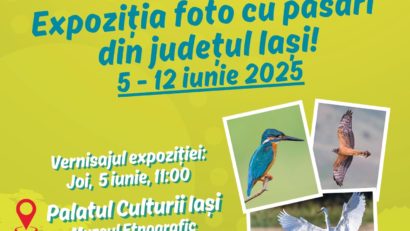 Expoziția de fotografii „Observă păsările Iașului”