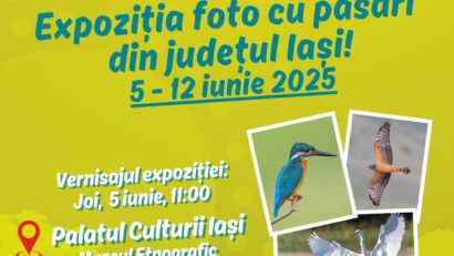 Atlasul Păsărilor Iașului. Profesorul Corina Forăscu și studentul voluntar Mihai Ghilan (coordonator științific API), în matinal cu Adina Șuhan