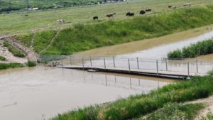 INHGA: Cod galben de inundaţii pe râuri din nouă judeţe, până marţi la prânz