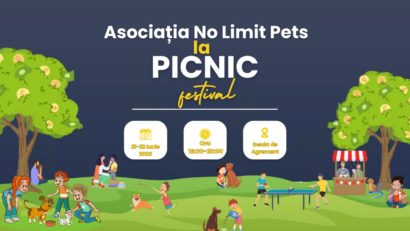 Bacău: No Limit Pets participă la Picnic Festival 2025 – Împreună pentru animalele fără stăpân