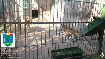 Suceava: Activitatea de vizitare a Grădinii Zoologice improvizată din Zăhăreşti a fost sistată