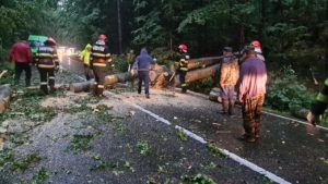 (FOTO) Probleme din cauza ploilor în județul Suceava