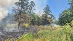 Incendiu de vegetație uscată în interiorul Grădinii Botanice din Iași – intervenție promptă a pompierilor