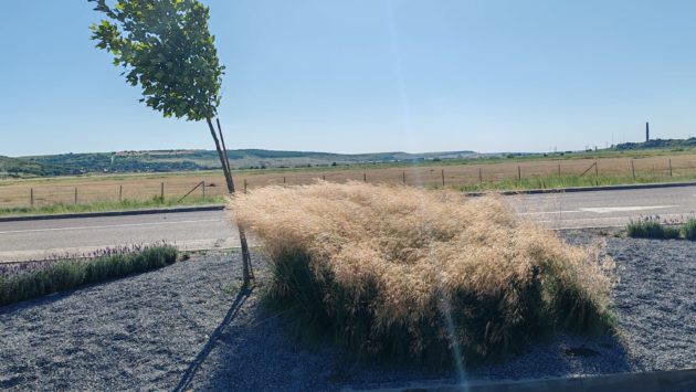 Prognoză specială de vânt în Moldova