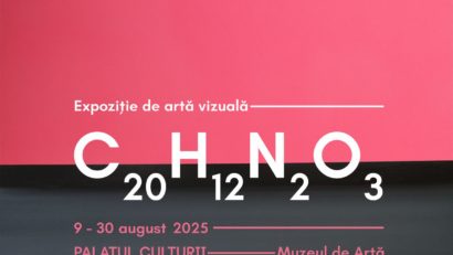 Expoziția C20H12N2O3, semnată de Mando, la Muzeul de Artă din Iași