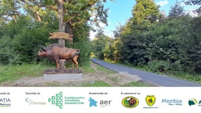(FOTO) Simbol nou în Ținutul Zimbrului: o sculptură impresionantă la intrarea în parc
