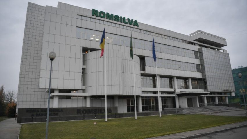 Prime de 46 de milioane de lei acordate la Regia Naţională a Pădurilor Romsilva Prime de 46 de milioane de lei acordate la Regia Naţională a Pădurilor Romsilva