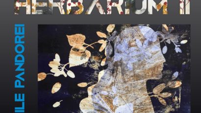 Expoziția „Herbarium II. Cutiile Pandorei” semnată de Atena-Elena Simionescu