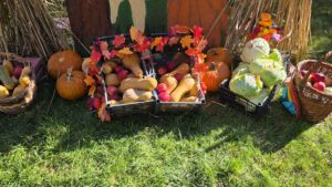 (FOTO) Campanie cu suflet la Spitalul de Psihiatrie Murgeni: „Pentru tine-i doar un fleac, donează-ne un dovleac!” (FOTO) Campanie cu suflet la Spitalul de Psihiatrie Murgeni: „Pentru tine-i doar un fleac, donează-ne un dovleac!”