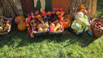 (FOTO) Campanie cu suflet la Spitalul de Psihiatrie Murgeni: „Pentru tine-i doar un fleac, donează-ne un dovleac!”