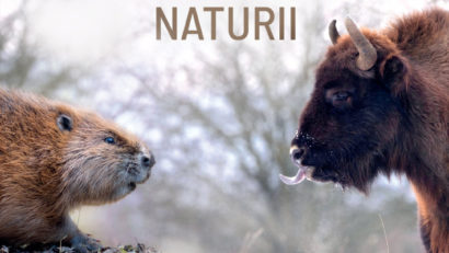 Documentarul „Arhitecții Naturii” ajunge în cinematografele din România începând cu 24 octombrie