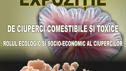 Expoziție de ciuperci comestibile și toxice la Grădina Botanică din Iași. Bună Dimineața cu George Marici