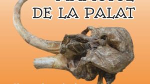 Palatul Culturii Iași: MAMUTUL DE LA PALAT – Singurul craniu de Mammuthus trogontherii din România Palatul Culturii Iași: MAMUTUL DE LA PALAT – Singurul craniu de Mammuthus trogontherii din România