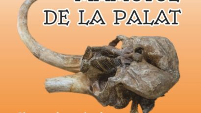 Palatul Culturii Iași: MAMUTUL DE LA PALAT – Singurul craniu de Mammuthus trogontherii din România