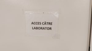 Tulpina virusului gripal care circulă la nivel internaţional a fost detectată şi în România