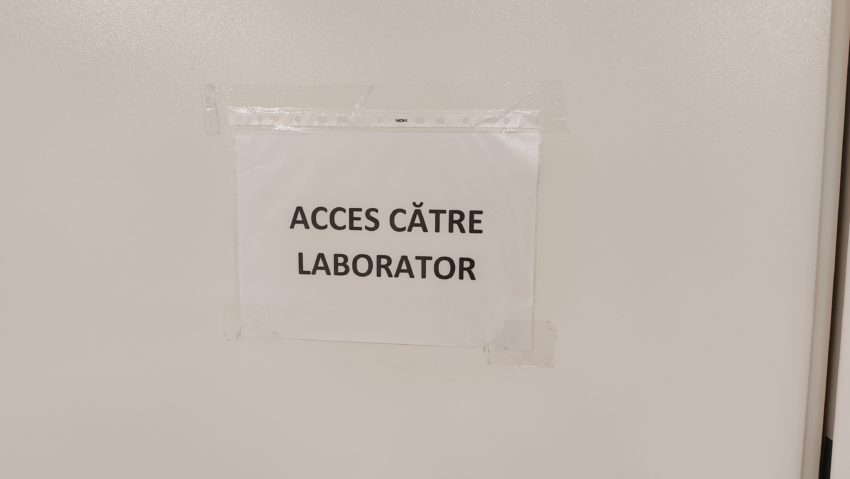Tulpina virusului gripal care circulă la nivel internaţional a fost detectată şi în România