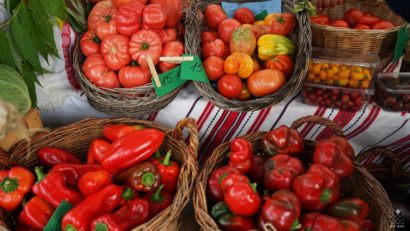 (AUDIO/FOTO) Sărbătoare agricolă la USV Iași – Zilele Recoltei, între știință și tradiție