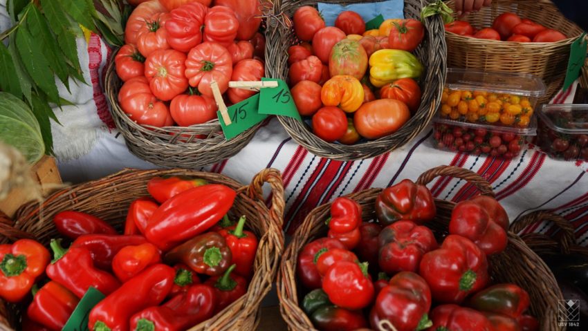 (AUDIO/FOTO) Sărbătoare agricolă la USV Iași – Zilele Recoltei, între știință și tradiție