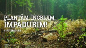 Se plantează la Voinești, județul Iași! Georgiana Arsene, inginer silvic, în Bună Dimineața cu Adina Șuhan