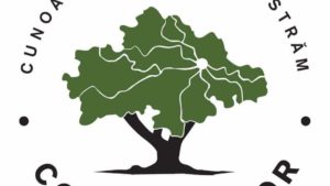 Importanța implicării cetățenilor în stoparea furturilor de pădure. Alina Cleminte, voluntar ”Codrii Iașilor” cu ”Mihai Diac (lider ”Codrii Iașilor”) la ”Pulsul Zilei” – 10.11.2025.