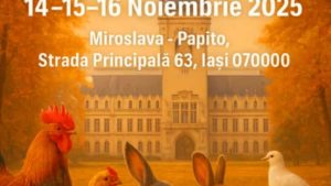 EXPOZIȚIE INEDITĂ DE PĂSĂRI ȘI ANIMALE LA MIROSLAVA, 14 – 16 noiembrie 2025. Organizatorul Romeo Condriuc cu Mihai Florin Pohoață, la ”Pulsul Zilei” – 06.11.2025.