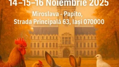 EXPOZIȚIE INEDITĂ DE PĂSĂRI ȘI ANIMALE LA MIROSLAVA, 14 – 16 noiembrie 2025. Organizatorul Romeo Condriuc cu Mihai Florin Pohoață, la ”Pulsul Zilei” – 06.11.2025.