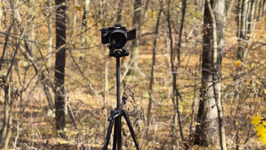 (AUDIO) O săptămână de ateliere intensive de film, arte vizuale şi multimedia pentru adolescenţi la Ipoteşti, în judeţul Botoşani