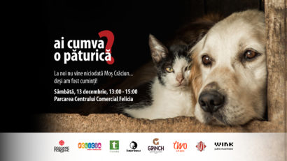Mobilizare majoră la Iași pentru animalele din padocuri – cel mai mare eveniment caritabil pentru prietenii blănoși are loc pe 13 decembrie