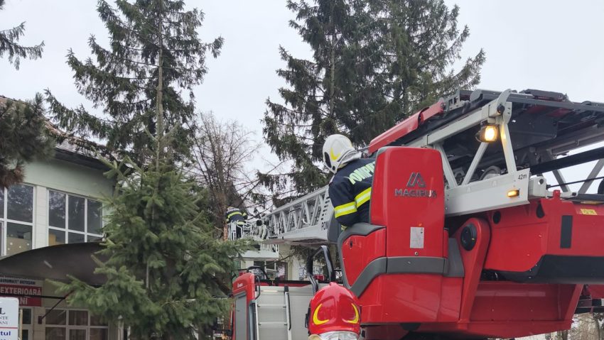 Botoșani: Copac rupt de vânt, căzut pe acoperișul spitalului din Darabani
